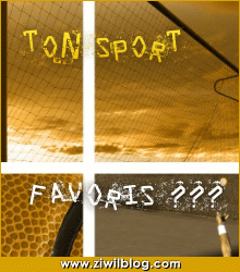 ton sport favori